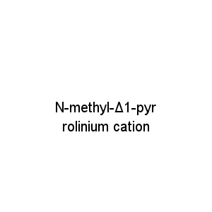 N-methyl-Δ1-pyrrolinium cation